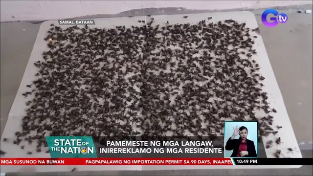 Pamemeste ng mga langaw, inirereklamo ng mga residente | SONA