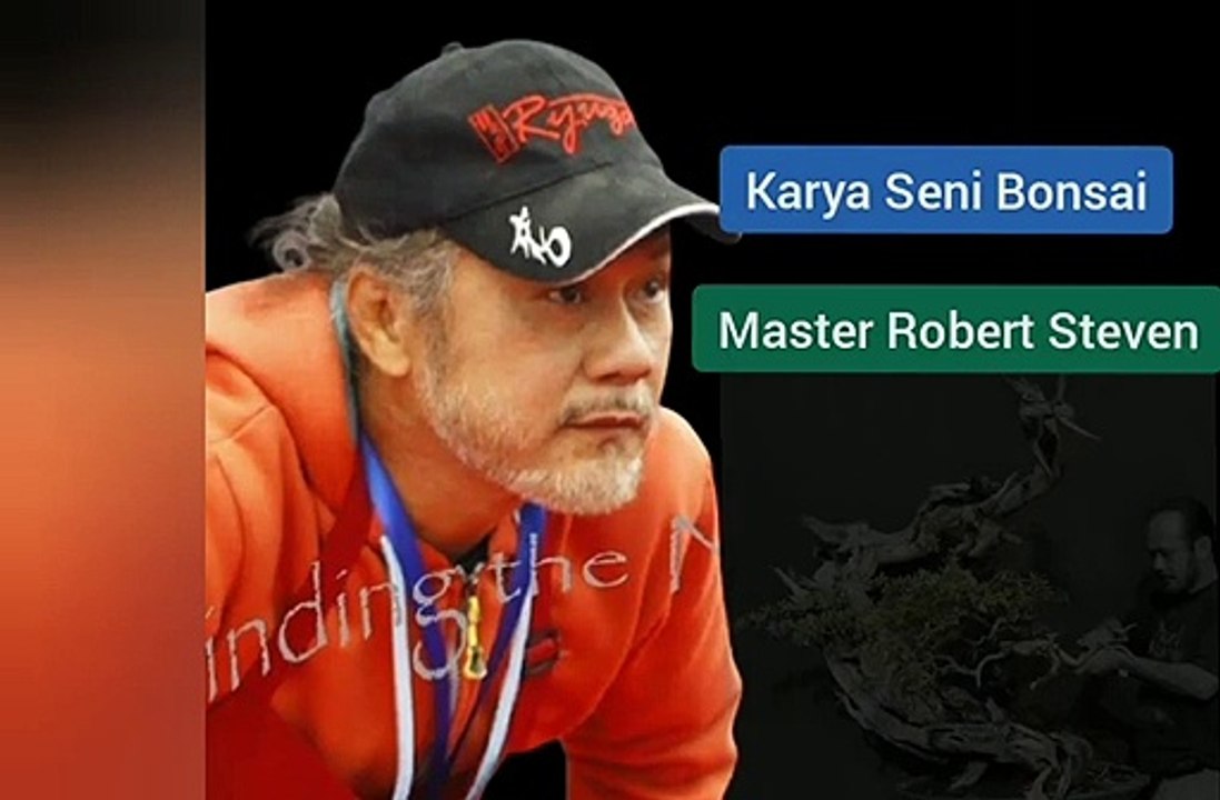 MASTER Robert Steven#KARYASENIBONSAI