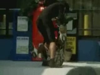 Dynasty - beast on the block