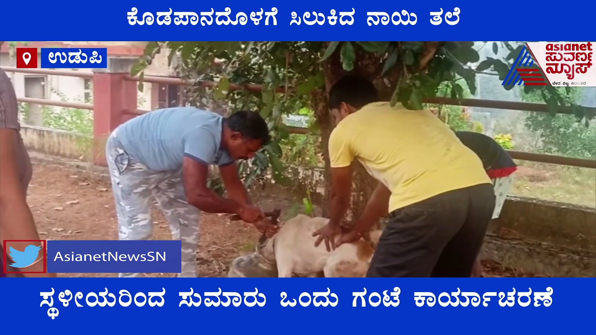 ಸಂಬಂಧವಿರದ ವಿಷಯಕ್ಕೆ 'ತಲೆ' ಹಾಕ್ಬಾರ್ದು ಅನ್ನೋದು ಇದಕ್ಕೆ ನೋಡಿ..!