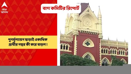 SSC Scam : পুনর্মূল্যায়ন ছাড়াই একাধিক প্রার্থীর নম্বর কী করে বাড়ল, প্রশ্ন তুলল বাগ কমিটির রিপোর্ট