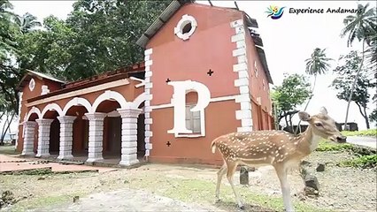 Visit Andaman & Nicobar Islands