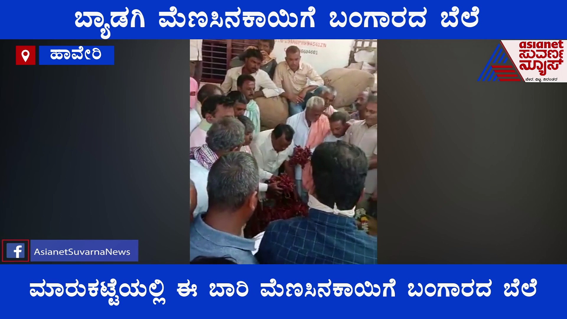 ಬ್ಯಾಡಗಿ ಮೆಣಸಿನಕಾಯಿಗೆ ಬಂಗಾರದ ಬೆಲೆ; ರೈತನಿಗೆ ಹೂಮಾಲೆ