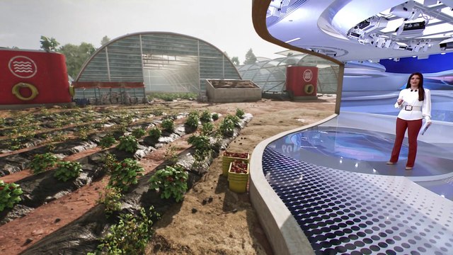 الفراولة والالتهاب الكبدي.. القصة أكبر من ثمرة .. والساعة 60 تتابعها من قلب الحقول