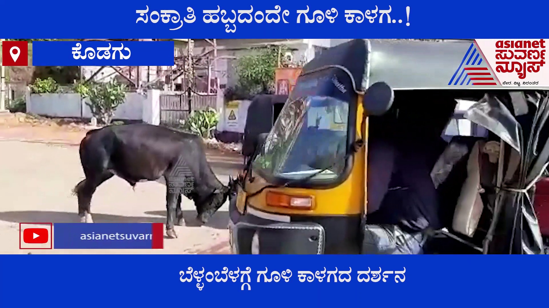 ನಡುರಸ್ತೆಯಲ್ಲಿ ಗೂಳಿ ಕಾಳಗ, ನೋಡಿದ ಜನ ಗಢಗಢ..!