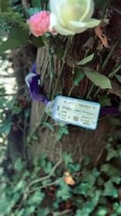 Keep Strong Kang Emil ❤️ #ridwankamil #trending