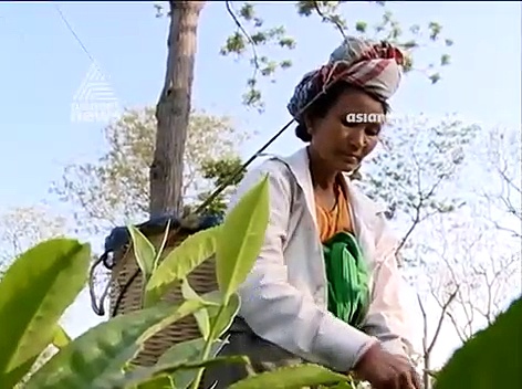 ചുവന്ന നദികളുടെയും നീല മലകളുടെയും നാടായ അസമിലെ തെരഞ്ഞെടുപ്പ് പോരാട്ടം; കാണാം എല്ലാ റോഡും ദില്ലിക്ക്