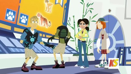 Wild Kratts- Educational Videos by kathrynwall2022 - Dailymotion
