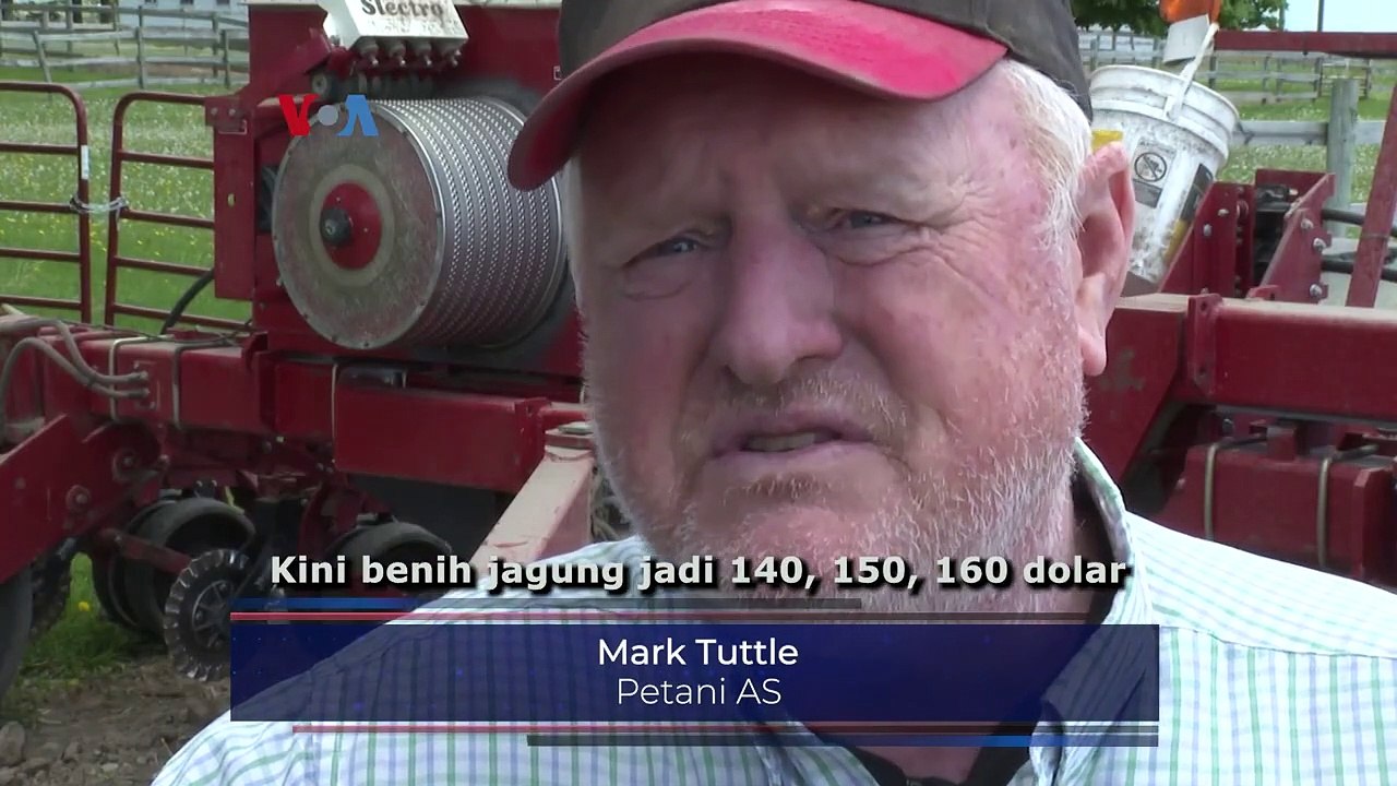 Buntut Perang Rusia-Ukraina, Petani dan Konsumen AS Terbebani Lonjakan Harga Pangan