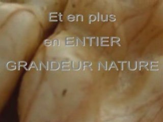 Le cerveau féminin : caractéristiques et différences