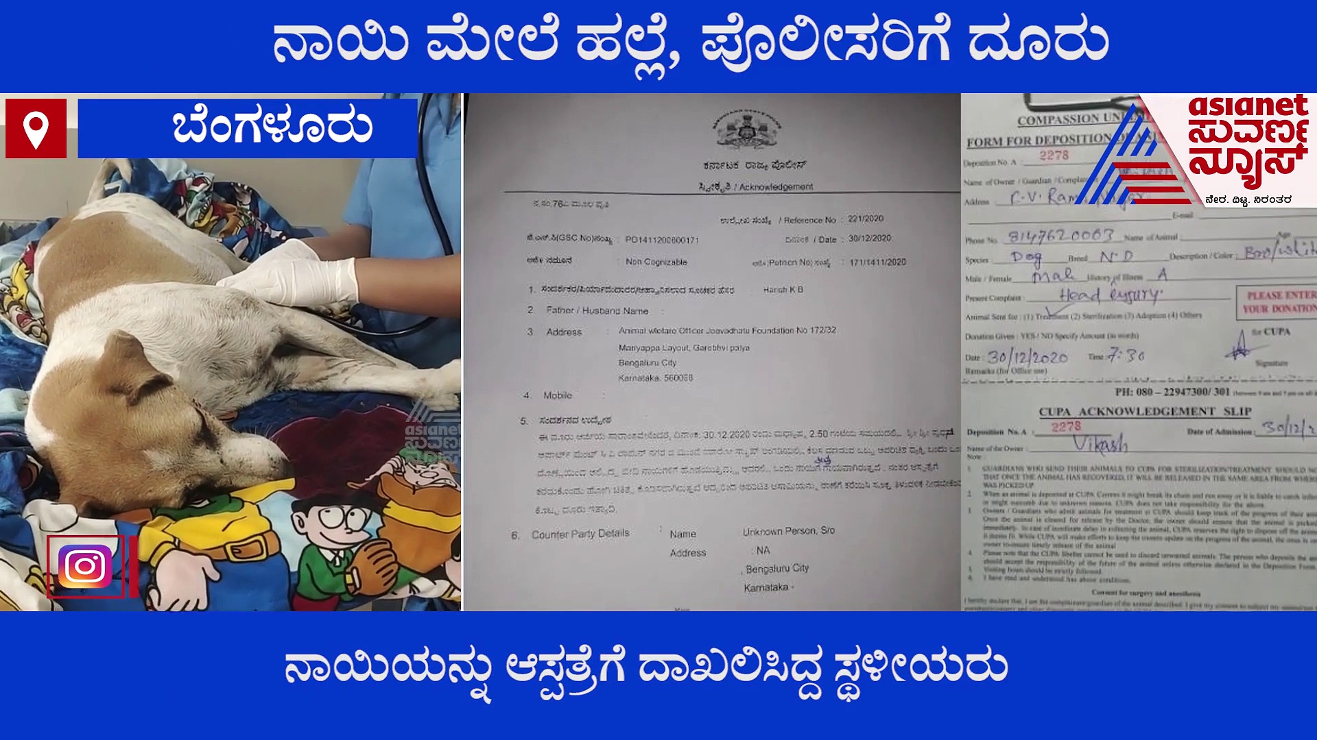 ನಾಯಿಗೆ ಬಿತ್ತು ದೊಣ್ಣೆ ಏಟು, ವ್ಯಕ್ತಿ ವಿರುದ್ಧ ಕ್ರಮಕ್ಕೆ ಪೊಲೀಸರಿಗೆ ದೂರು