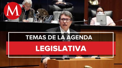 Agenda legislativa será retomada tras elecciones estatales: Ricardo Monreal