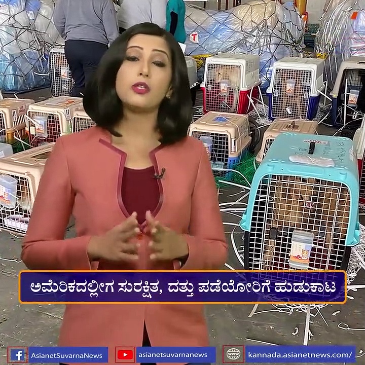 ವಿದೇಶಿ ಪ್ರಯಾಣಕ್ಕಿನ್ನು ಕೊರೋನಾ ಲಸಿಕೆ ಕಡ್ಡಾಯ, ನರ್ಸ್‌ಗೆ 1 ದಶಲಕ್ಷ ಡಾಲರ್ ಜಾಕ್‌ಪಾಟ್..!