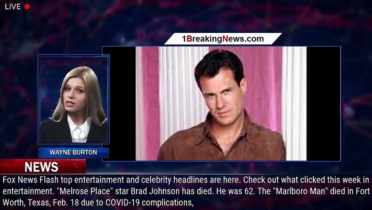 Brad Johnson, 'Melrose Place' and 'Always' actor, dead at 62 video Dailymotion