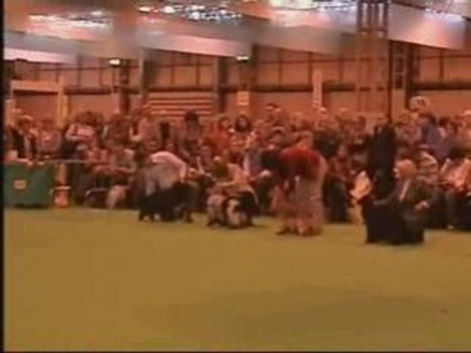 Cruft 2008