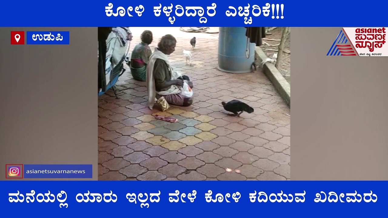 ಕೋಳಿ ಕಳ್ಳರಿದ್ದಾರೆ ಎಚ್ಚರಿಕೆ, ಇವರು ಕೋಳಿ ಕದಿಯೋ ಸ್ಟೈಲೇ ಬೇರೆ..!