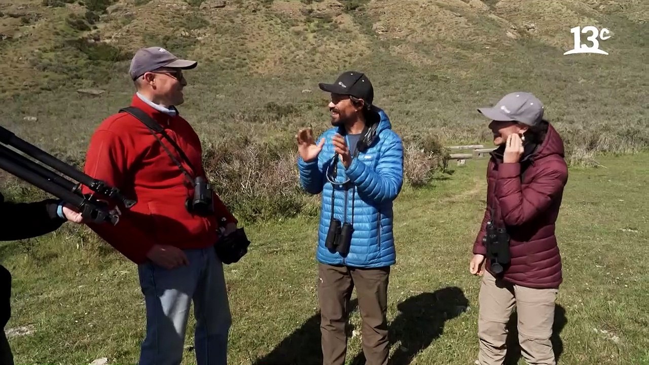 El impresionante vuelo de 60 Cóndores Andinos en Cerro Palomares _ Sueños de Patagonia