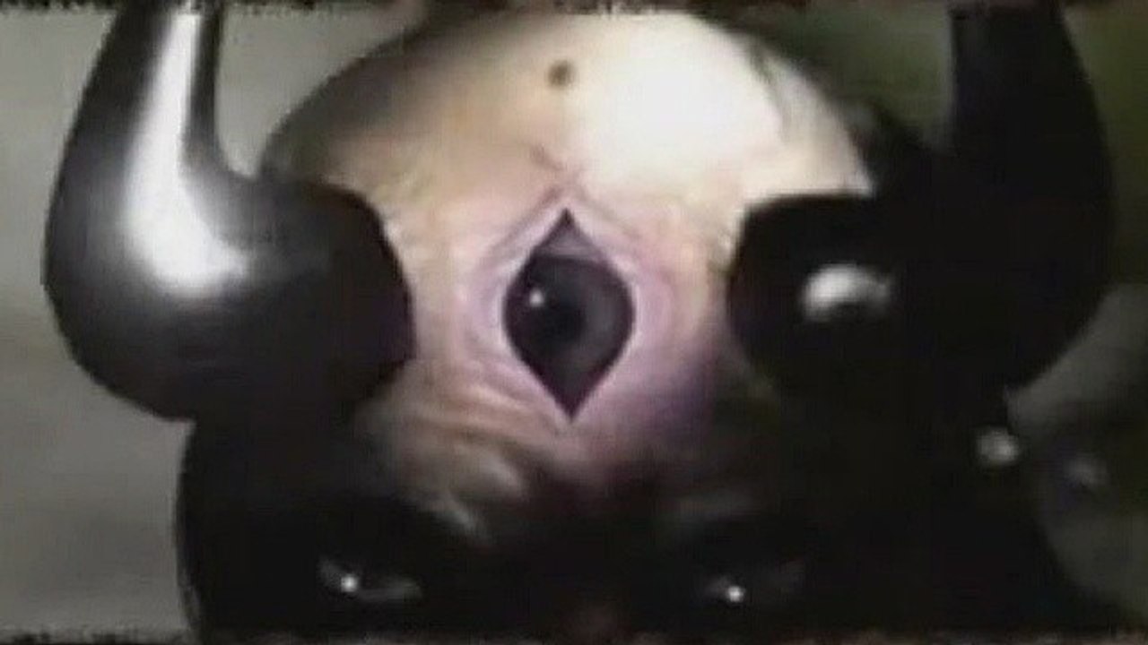 Dark Projekt: Der Meisterdieb  - Intro-Video