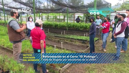Educa TV: Semana del 30 de mayo-03 de junio