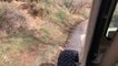 Easter Jeep Safari 2022 | Flatfender Jeeps Hit the Red Rocks!