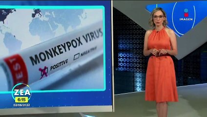 OMS sospecha de una "transmisión no detectada" de la viruela del mono