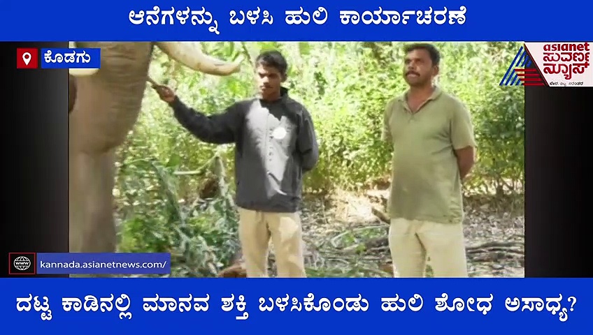 ಆನೆಗಳನ್ನು ಬಳಸಿ ಹುಲಿ ಕಾರ್ಯಾಚರಣೆ ನಡೆಸುವ ರೋಚಕ ಸಾಹಸವಿದು..!