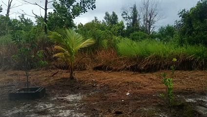 SUARA HUJAN /RAIN SOUND