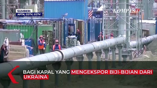 Putin Marah ke Barat, Atas Krisis Pangan dan Energi Global
