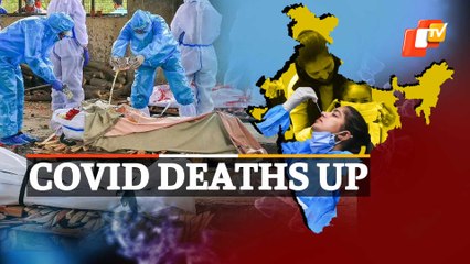 Covid19 Daily Update For June 4: Positivity Falls