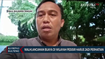 Walhi Ancaman Buaya di Wilayah Pesisir Harus Jadi Perhatian