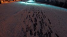 Footsteps in fresh snow during snowy winter night.