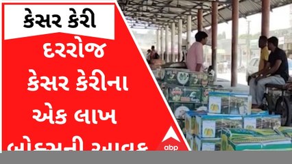 કેસર કેરીની સિઝન પૂરબહારમાં, રોજ એક લાખ બોક્સની આવક, જુઓ વીડિયો