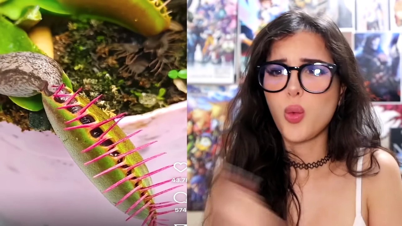 Weird Things You Never Seen Before