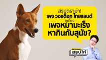 สรุปดราม่า เพจ มูลนิธิวอชด็อก ไทยแลนด์ และ หมามะเร็ง dog cancer เกิดอะไรขึ้น? l SPRiNGสรุปให้