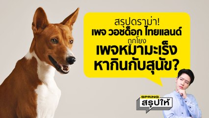 สรุปดราม่า เพจ มูลนิธิวอชด็อก ไทยแลนด์ และ หมามะเร็ง dog cancer เกิดอะไรขึ้น? l SPRiNGสรุปให้