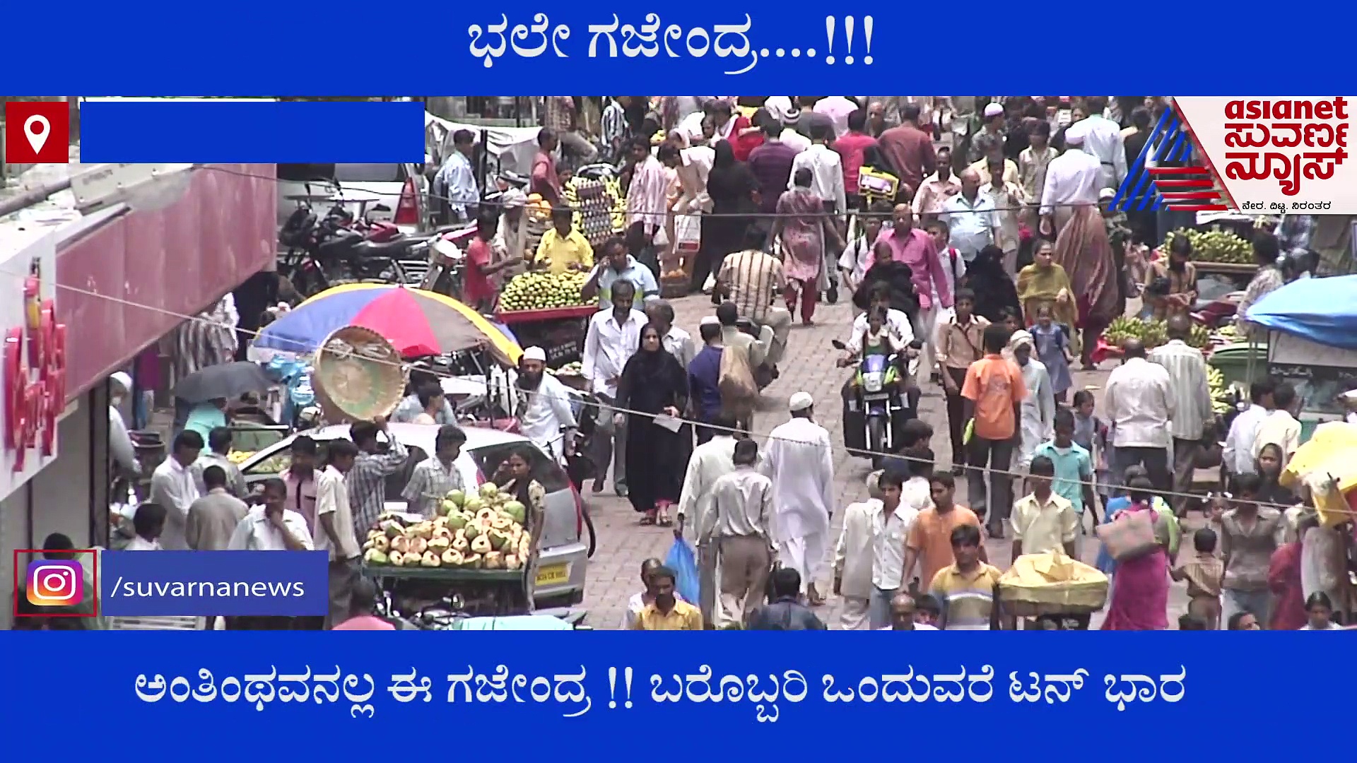 ಅಂತಿಂಥವನಲ್ಲ ಈ ಗಜೇಂದ್ರ: ಈತನ ಮೈಮಾಟಕ್ಕೆ ಫಿದಾ ಆಗದವರೇ ಇಲ್ಲ..!