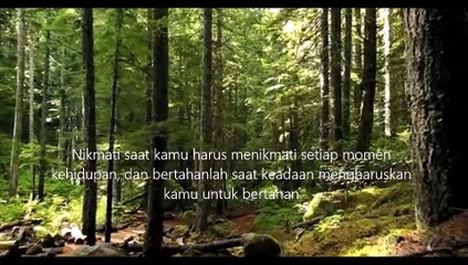 Relaxation 2: Meditation & Music for Mind & Body 🎶