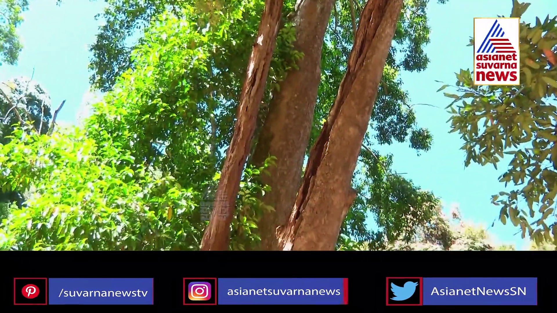 ಬಿಳಿಗಿರಿರಂಗನ ಬೆಟ್ಟದಲ್ಲಿ ಸುವರ್ಣ ನ್ಯೂಸ್ - ಕನ್ನಡ ಪ್ರಭ ವನ್ಯಜೀವಿ ಸಂರಕ್ಷಣಾ ಅಭಿಯಾನ