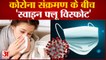Swine Flu Outbreak: कोरोना संक्रमण के बीच 'स्वाइन फ्लू विस्फोट', जानिए इसके लक्षण और बचाव के तरीके