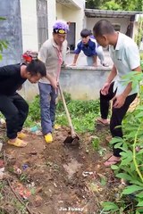 Best Funny Videos 2022 - Challenge Do Not Laugh - cute dog moment compilation 2022