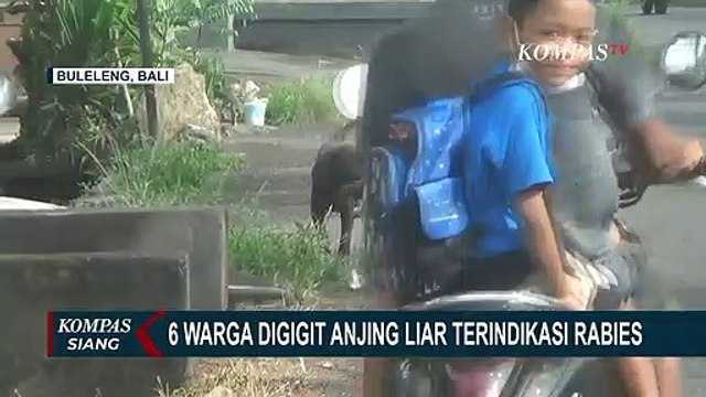 Digigit Anjing Liar, 6 Warga Desa Buleleng Terindikasi Rabies