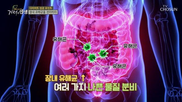 비만 유발하는 장 건강 상태 자가 진단 테스트✍ TV CHOSUN 20220604 방송