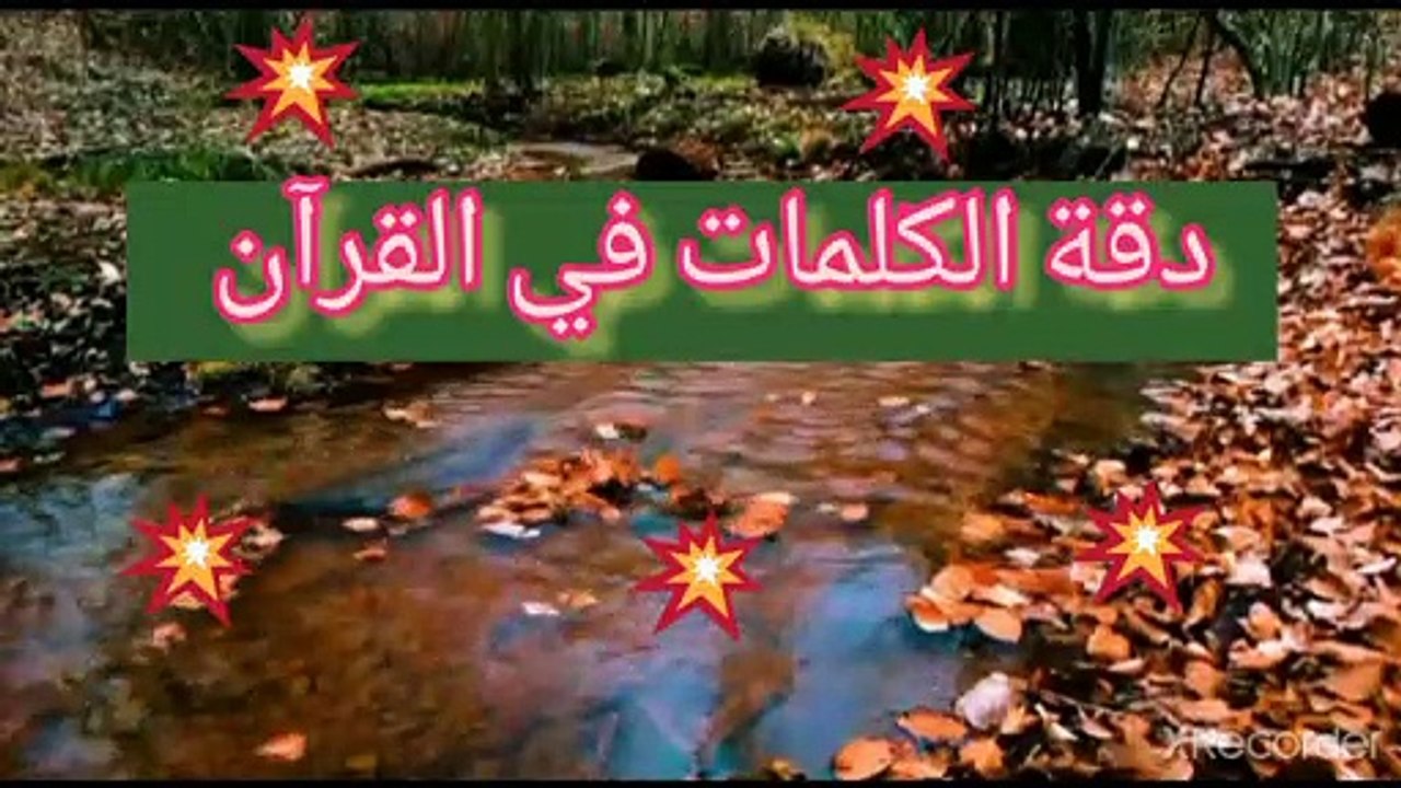 نقي قلبك معجزة دقة الكلمات في القرآن الكريم