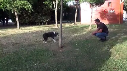 'Yürüyemeyecek' denilen köpeği kredi çekerek ayağa kaldırdı