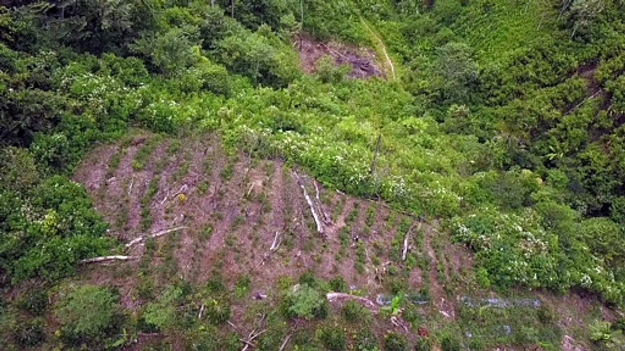 Aceh Landscap