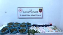 Şanlıurfa'da silah ve uyuşturucu operasyonunda 3 gözaltı