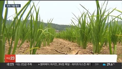 "비 한방울 안내려"…극심한 가뭄 전국 확산 우려