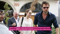 Angelina Jolie : les raisons de son divorce avec Brad Pitt