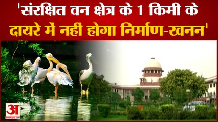 India News: सुप्रीम कोर्ट ने संरक्षित वन क्षेत्र में  निर्माण-खनन नहीं करने का दिया आदेश | Supreme Court