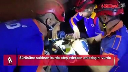 Sürüsüne saldıran kurda ateş ederken arkadaşını vurdu